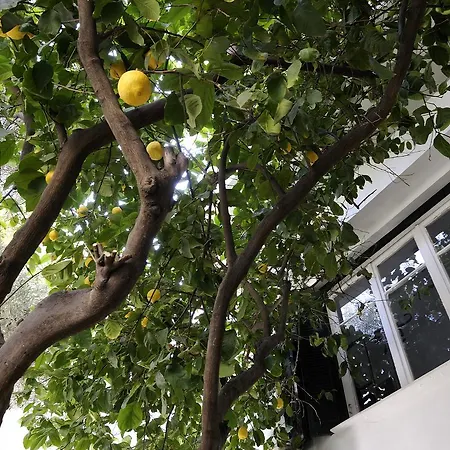 Athens Green Apartments * Ateny