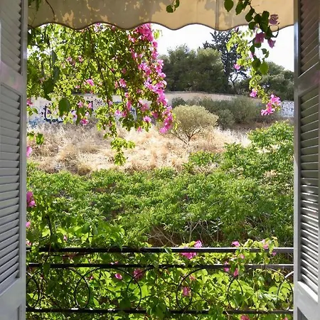 Athens Green Apartments Atény